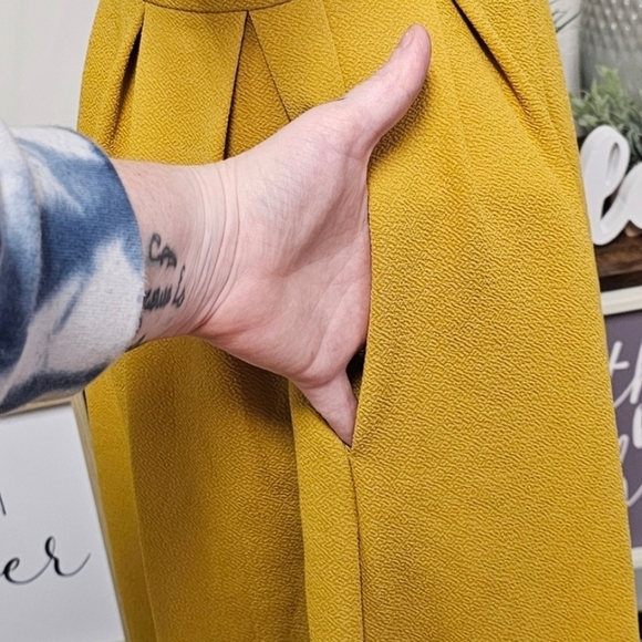 LuLaRoe | TWO for ONE | AMELIA KNIT BACK ZIP FLAIR DRESS - Picture 11 of 15